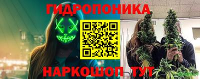 соль ск Новокубанск